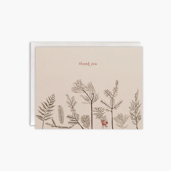 Thank You Conifers Cards Box Set of 8