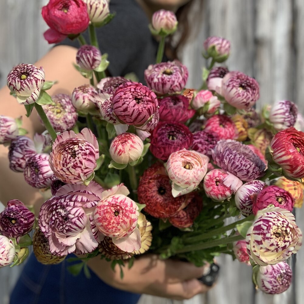 Fake Ranunculus Nosegay Small Fall Flowers Bouquet Ranunculus