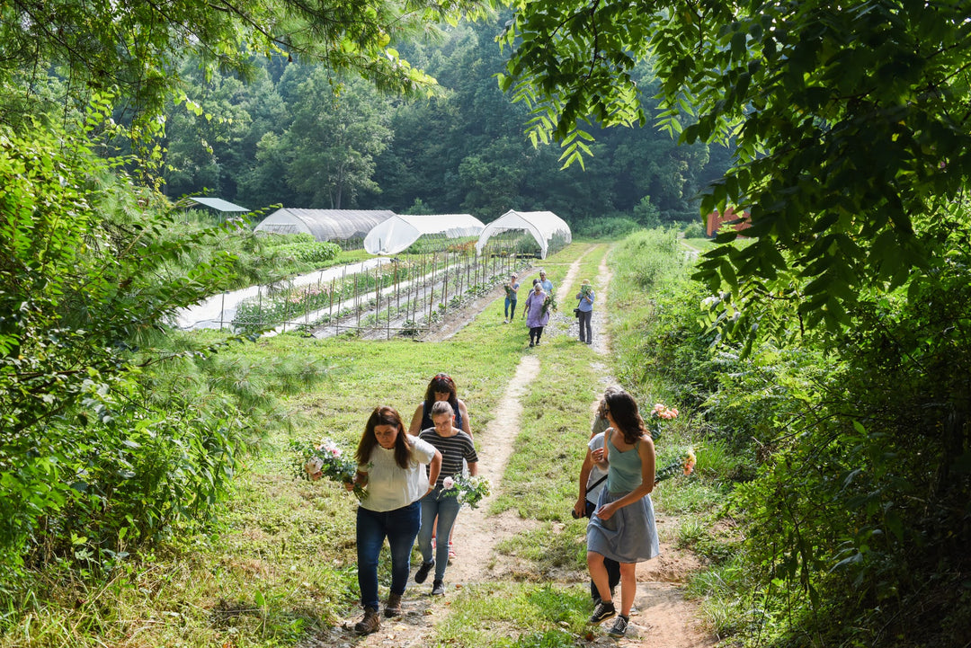 New Workshop Dates for 2022