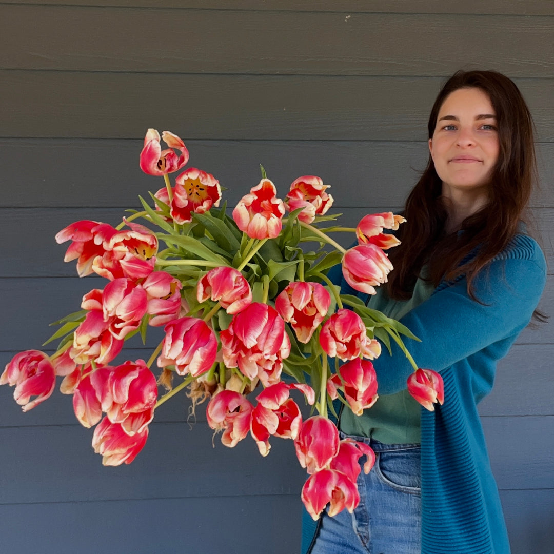 Eight Generations of Flower Farming Led to Carolina Flowers