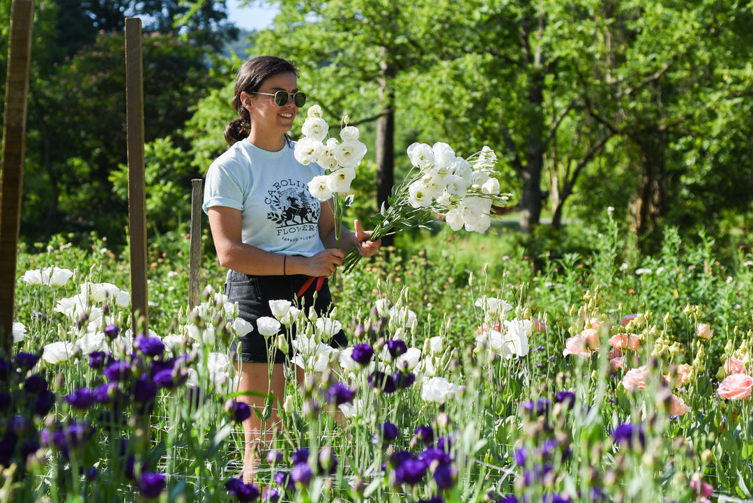 What to Do in the Garden on a Rainy Day