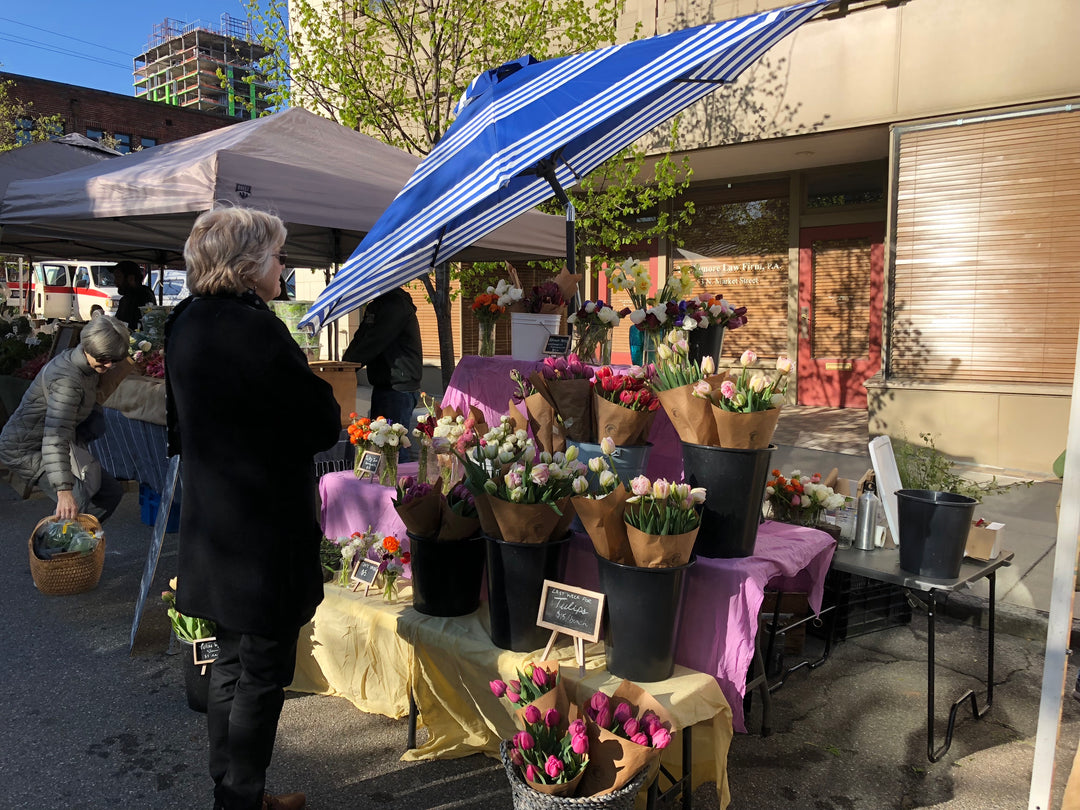 8 Years of Carolina Flowers: Reflections on Year 2