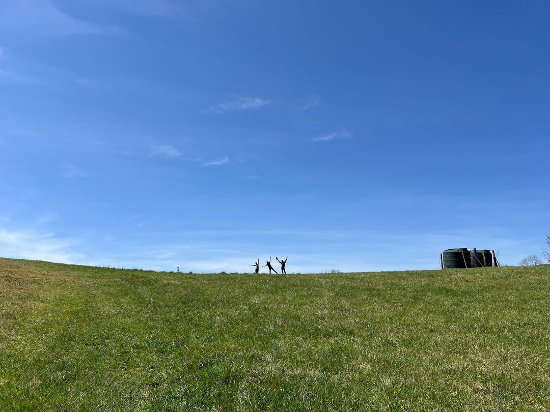 Announcing Our New Farm