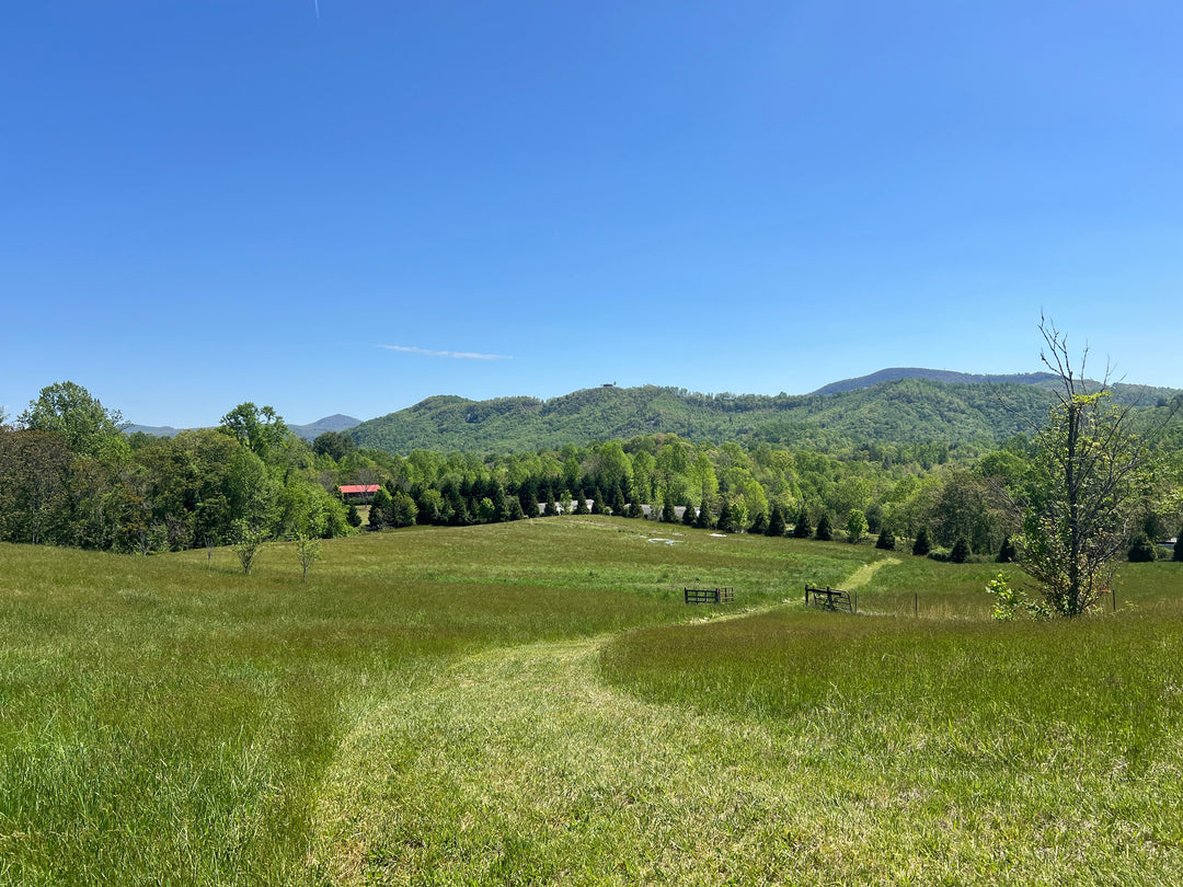 Updates from the New Farm: Cover Cropping the Land