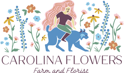 The Story of Our Logo