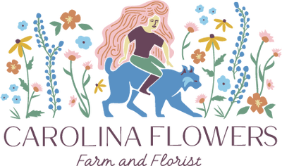 The Story of Our Logo