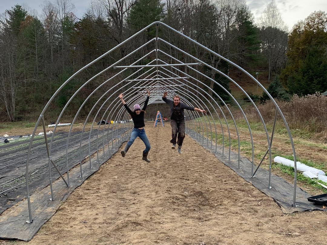 8 Years of Carolina Flowers: Reflections on Year 3-4