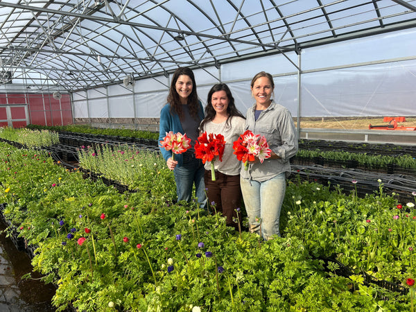 Meet the Owners of Carolina Flowers