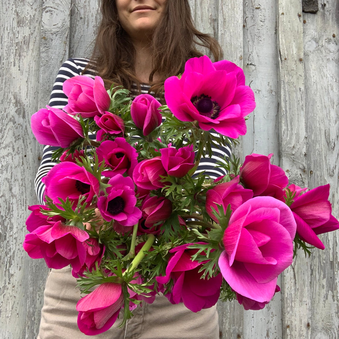 Flower Bunches from Our Farm