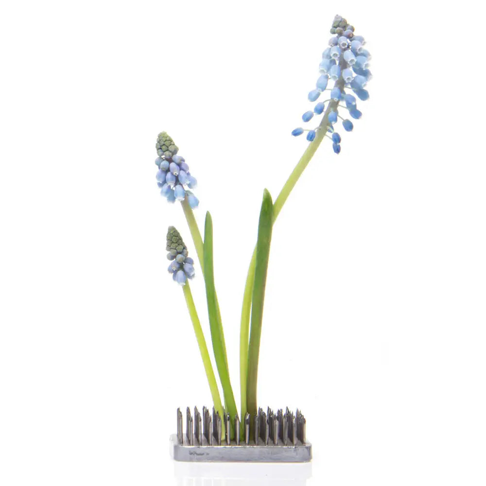 Flower Frogs & Supports