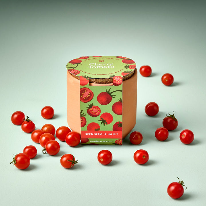 Cherry Tomato Seed Sprouting Kits