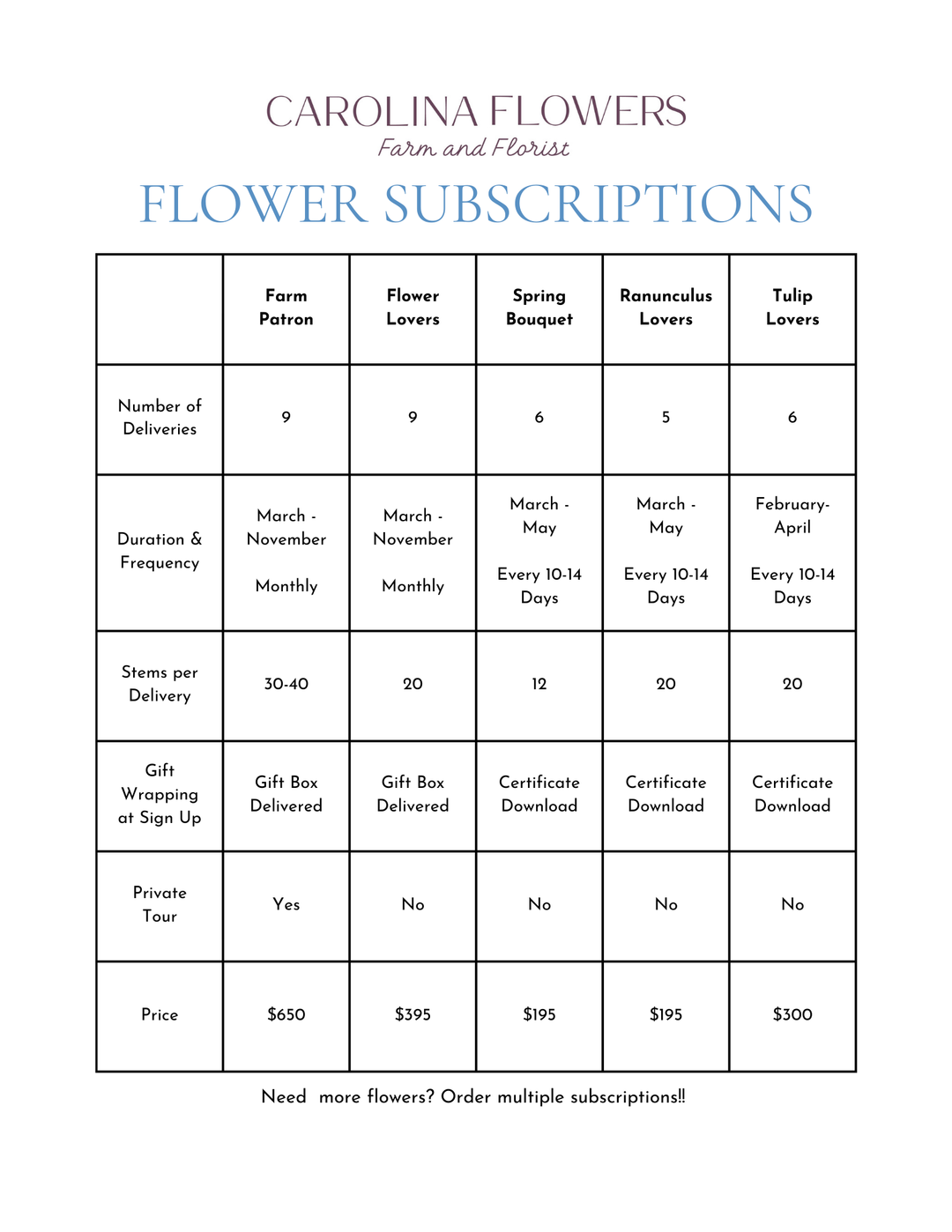 Tulip Lovers Subscription (6 Bundles)