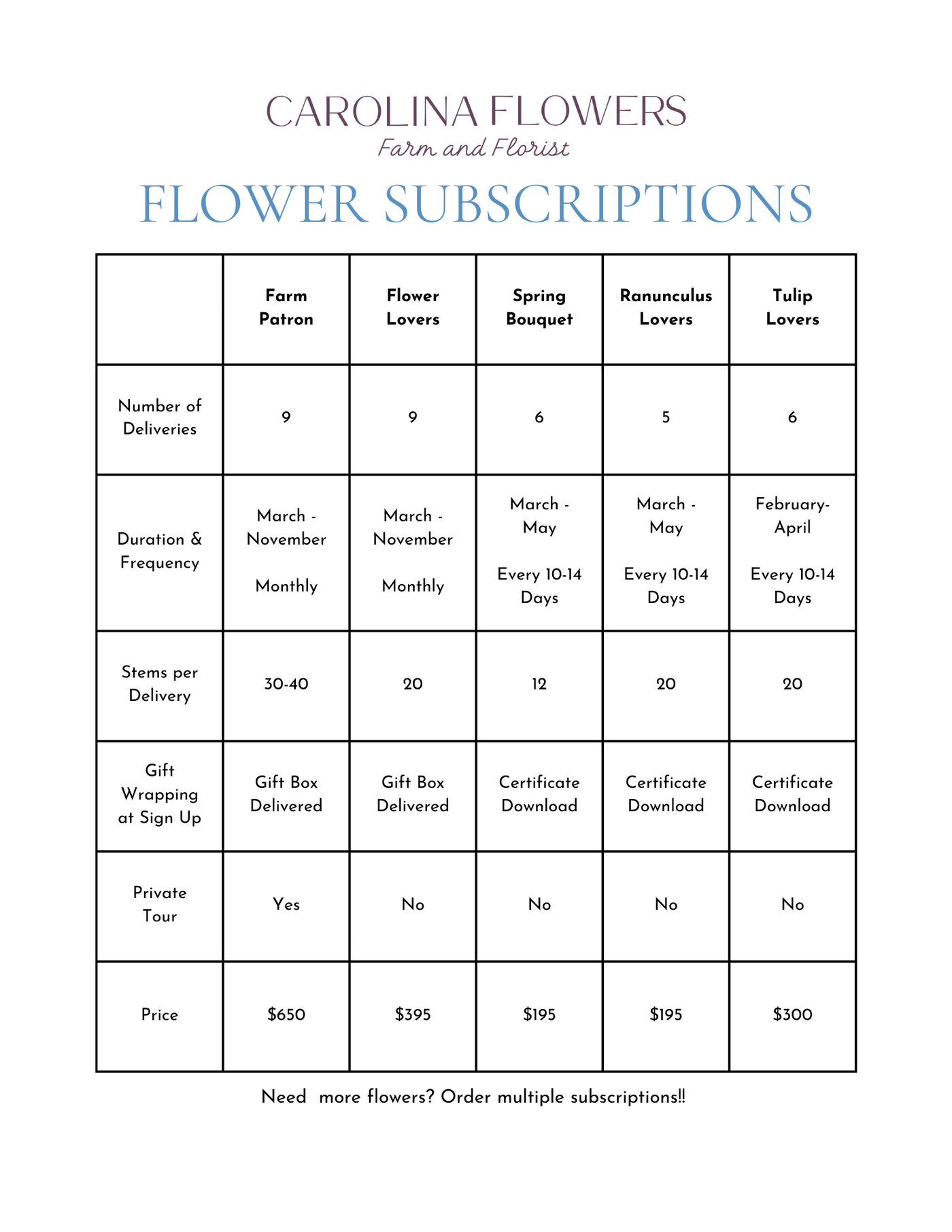 Spring Bouquet Subscription (6 Cutie Bouquets)