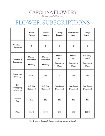 Spring Bouquet Subscription (6 Cutie Bouquets)