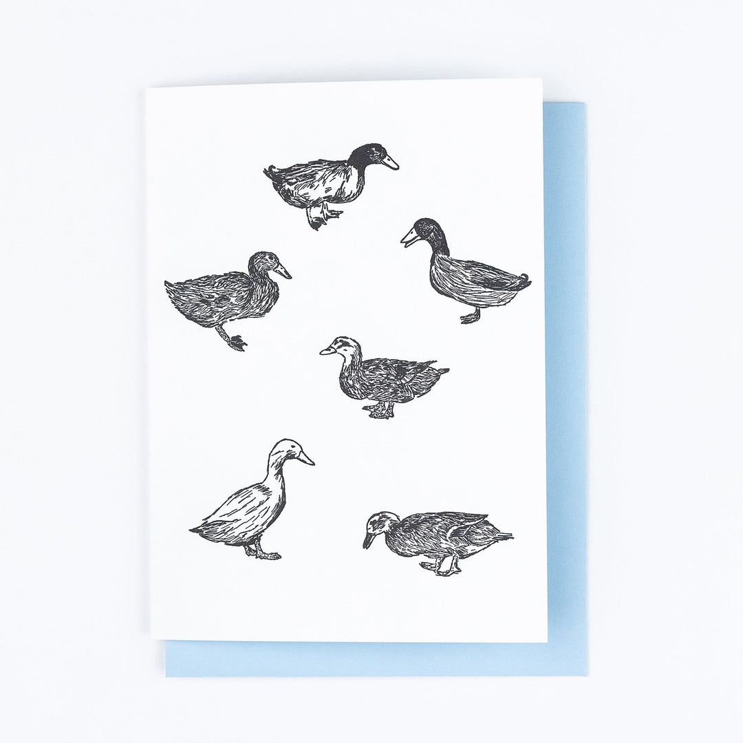 Ducks Greeting Card