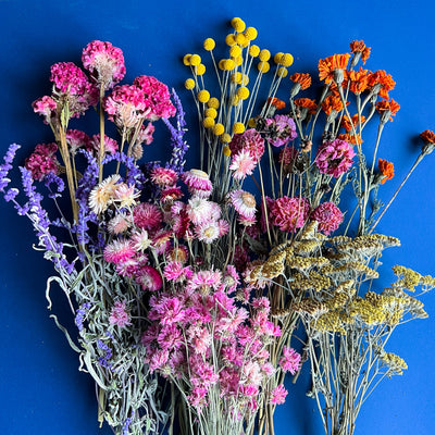Shop Dried Flowers at