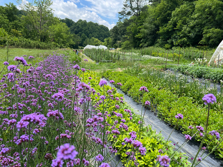 Golden Hour Farm Tour, July 18, 7 p.m.