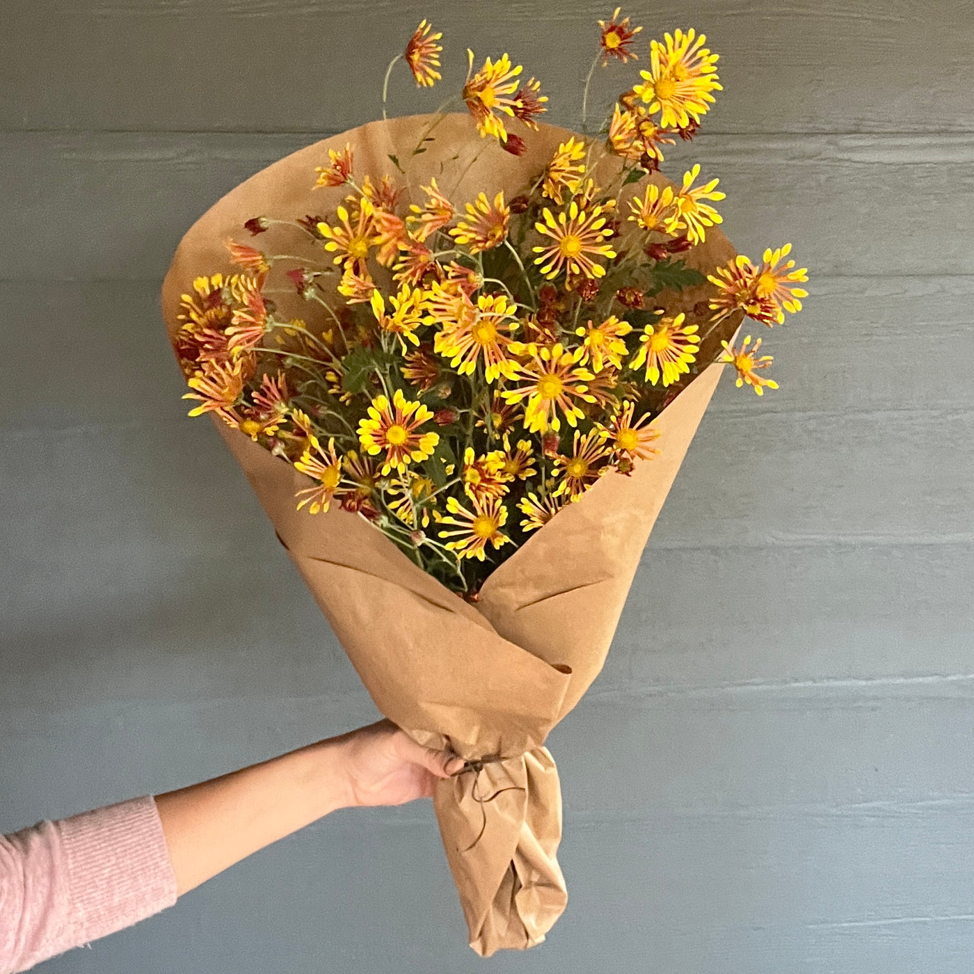 Golden Pinwheel Chrysanthemum Bundle
