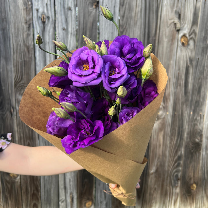 Purple Lisianthus Bundle