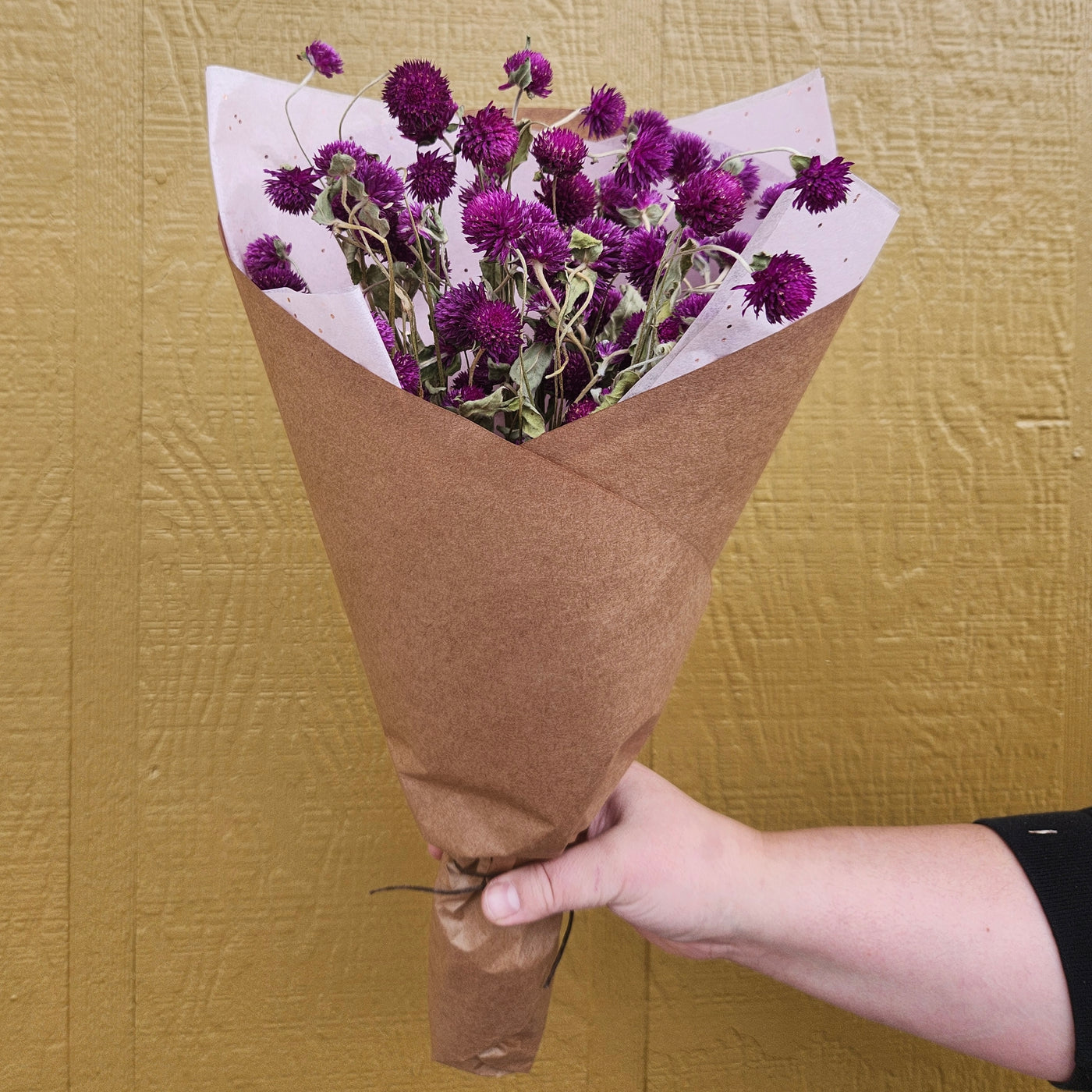 Dried Gomphrena Bundle, Purple