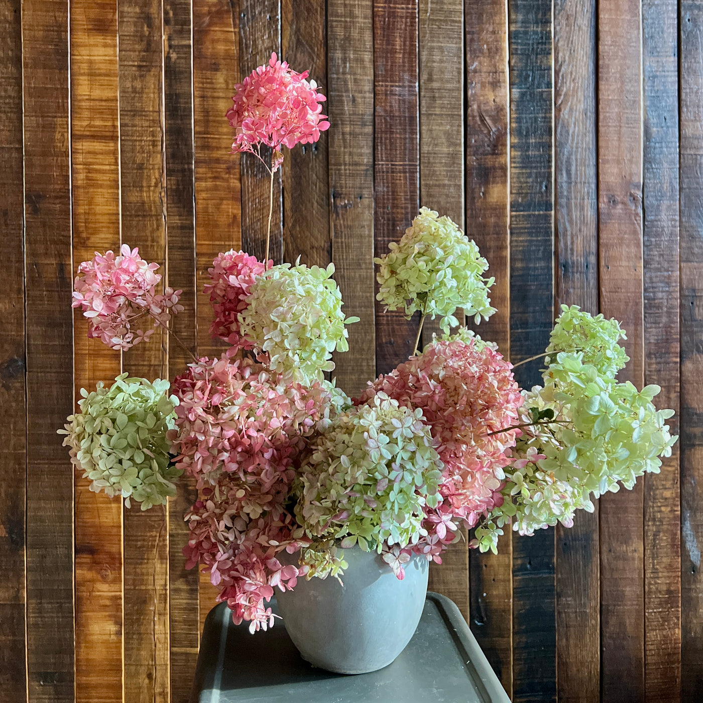 Dried Hydrangea Pot Arrangement