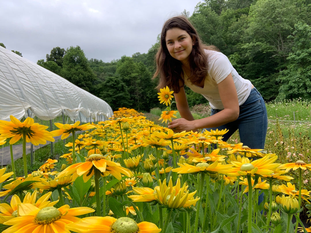 Summer on the Flower Farm Field + Studio Workshop, June 20, 10 a.m. to noon