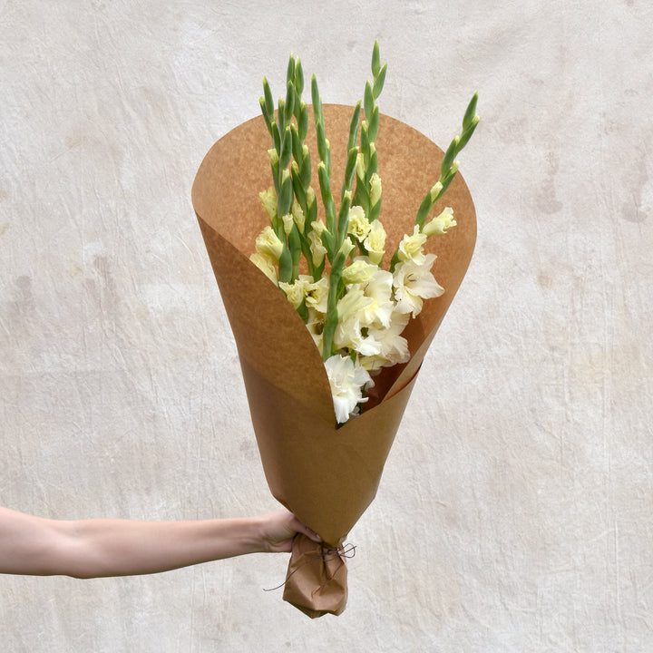 Gladiolus Bundle, Buttercream