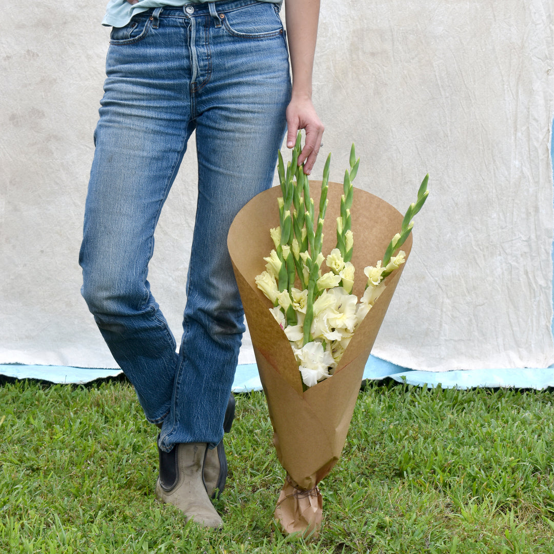 Gladiolus Bundle, Buttercream