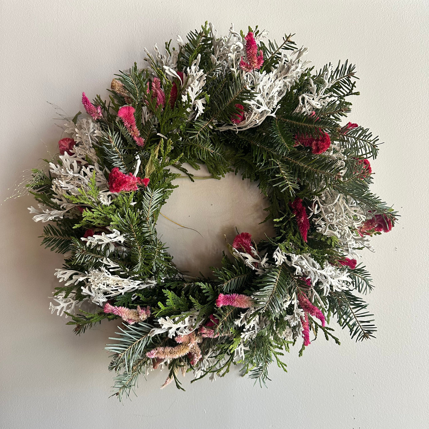 Red & Dusty Miller 12-inch Greenery Wreath for 12/21