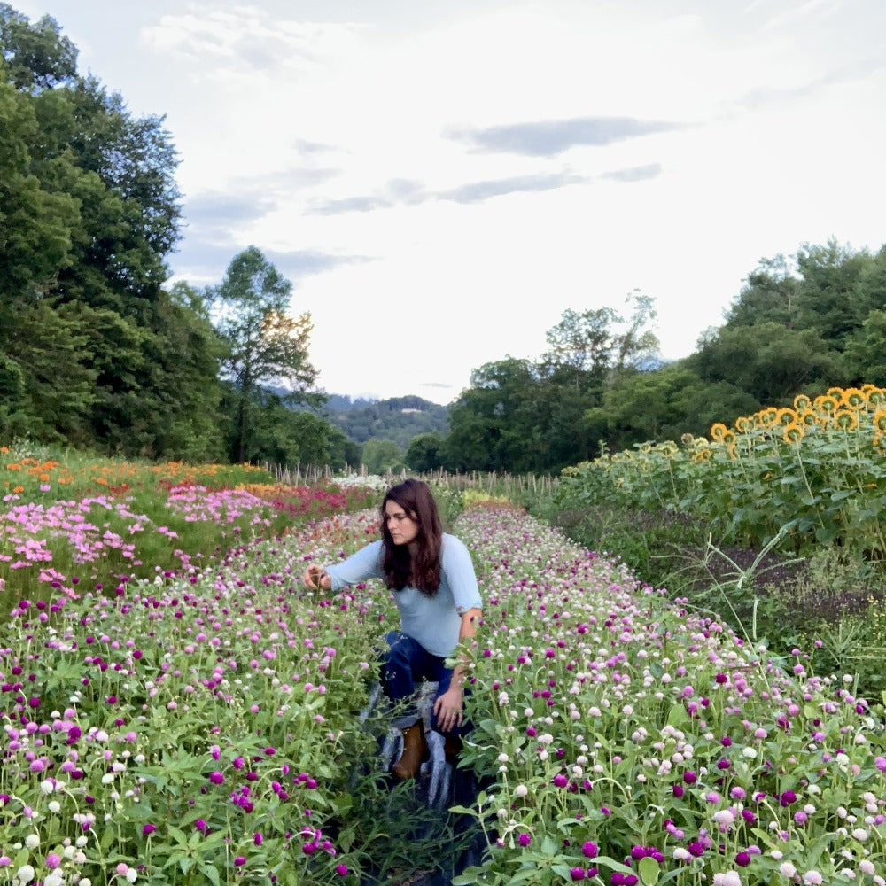 Asheville Farm Flower Arranging Workshop