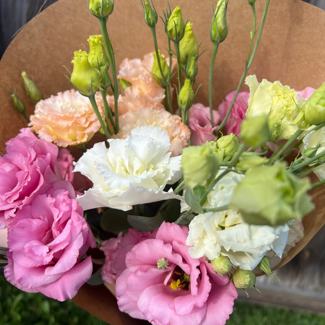Large Lisianthus Bundle