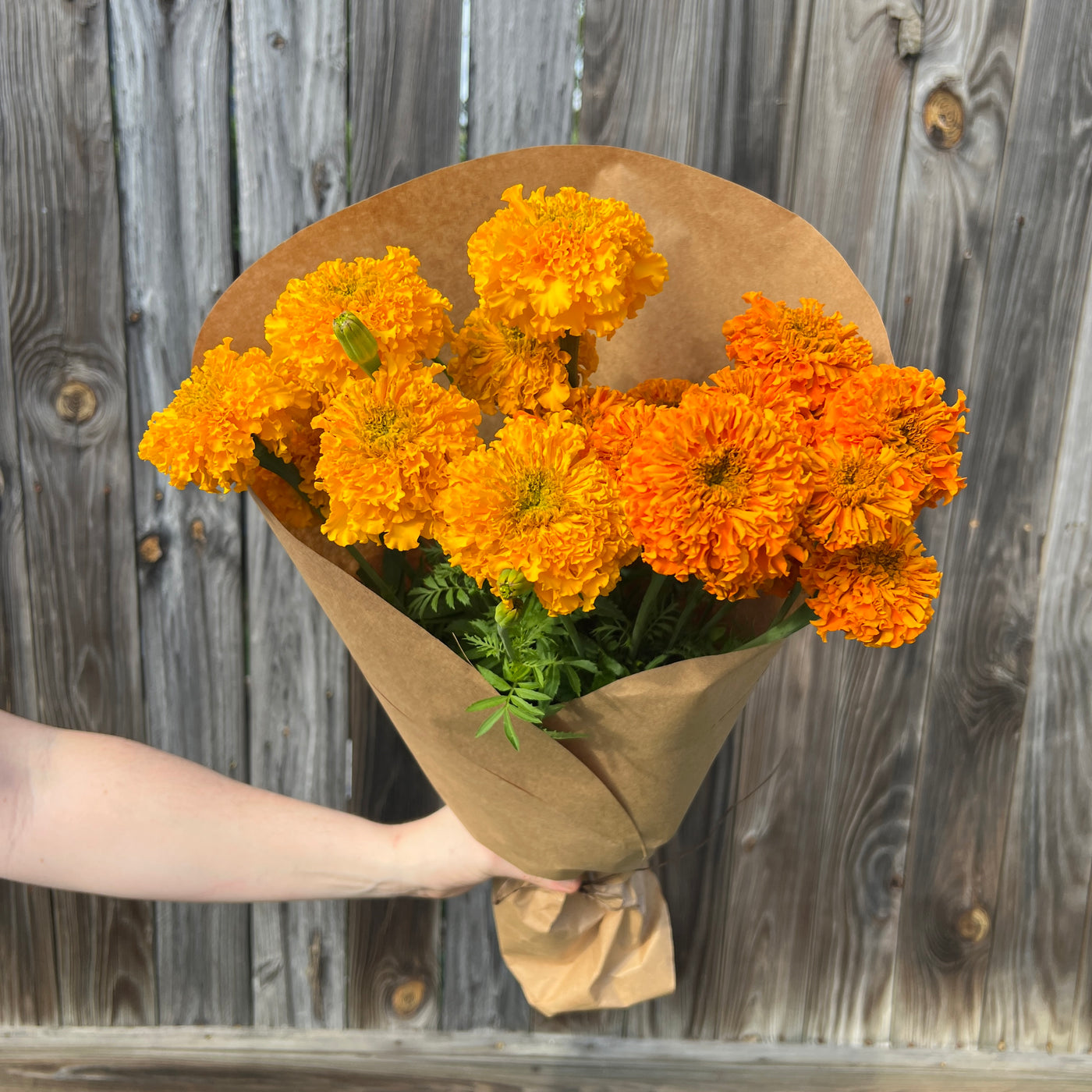 Mixed Marigold Bundle