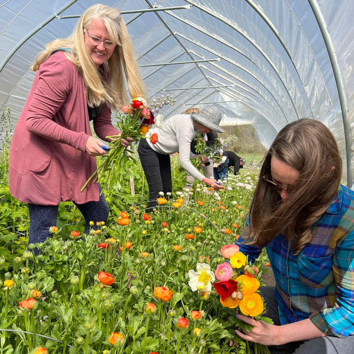 Flower Farm tour u-pick Asheville