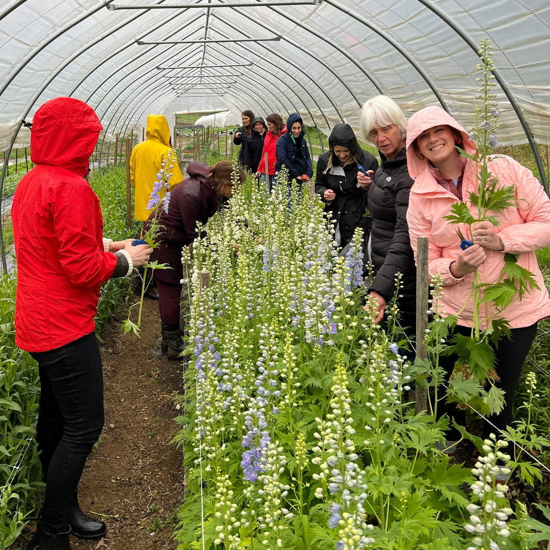 Flower farm Asheville visit