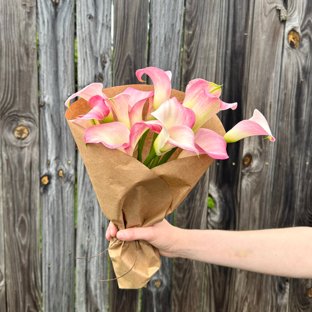 Soft Pink Calla Lilies