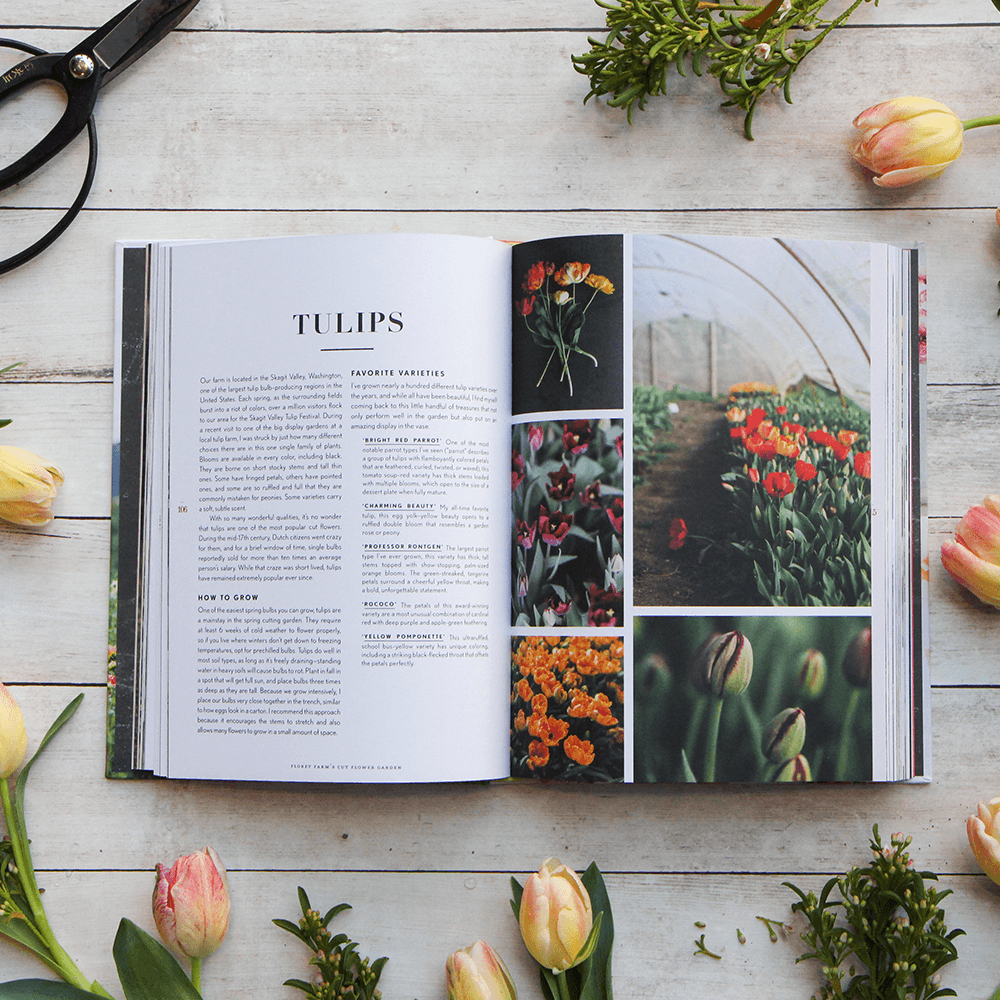 Floret Farm's Cut Flower Garden