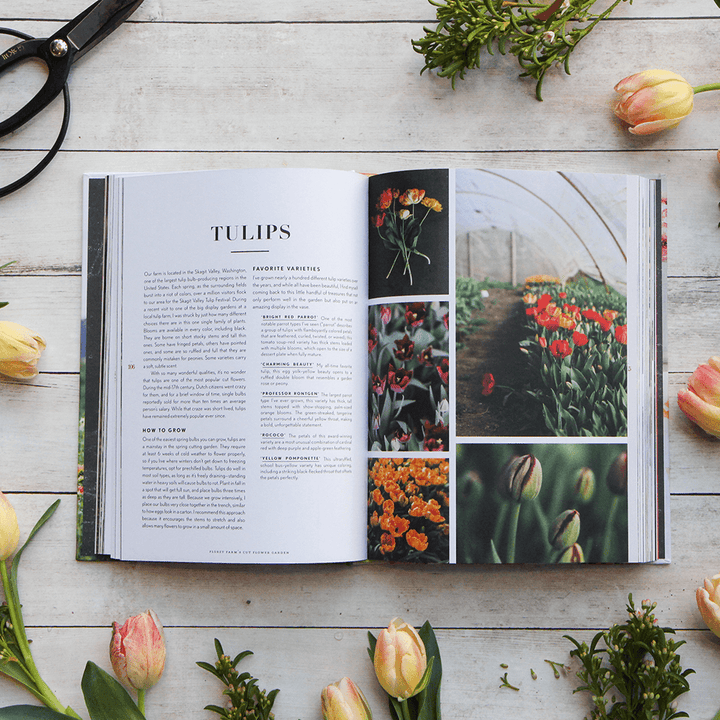 Floret Farm's Cut Flower Garden