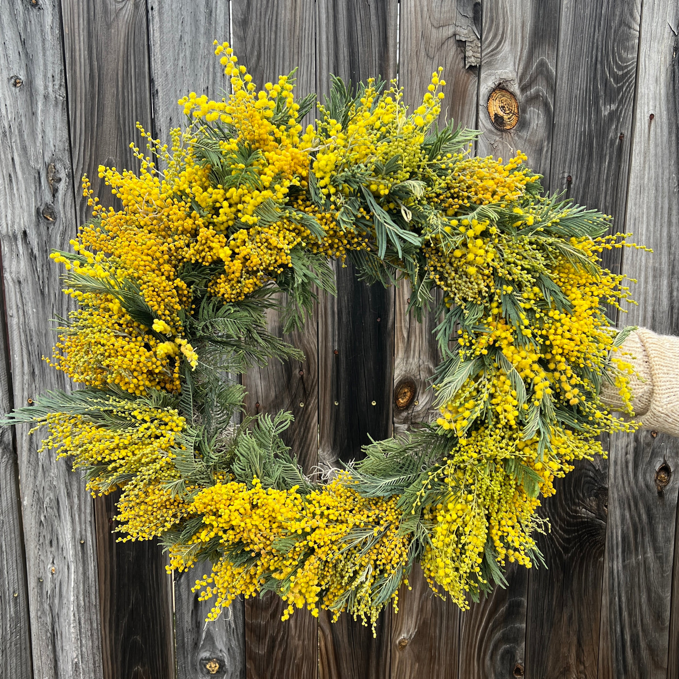 Mimosa Wreath