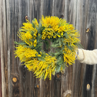 Mimosa Wreath