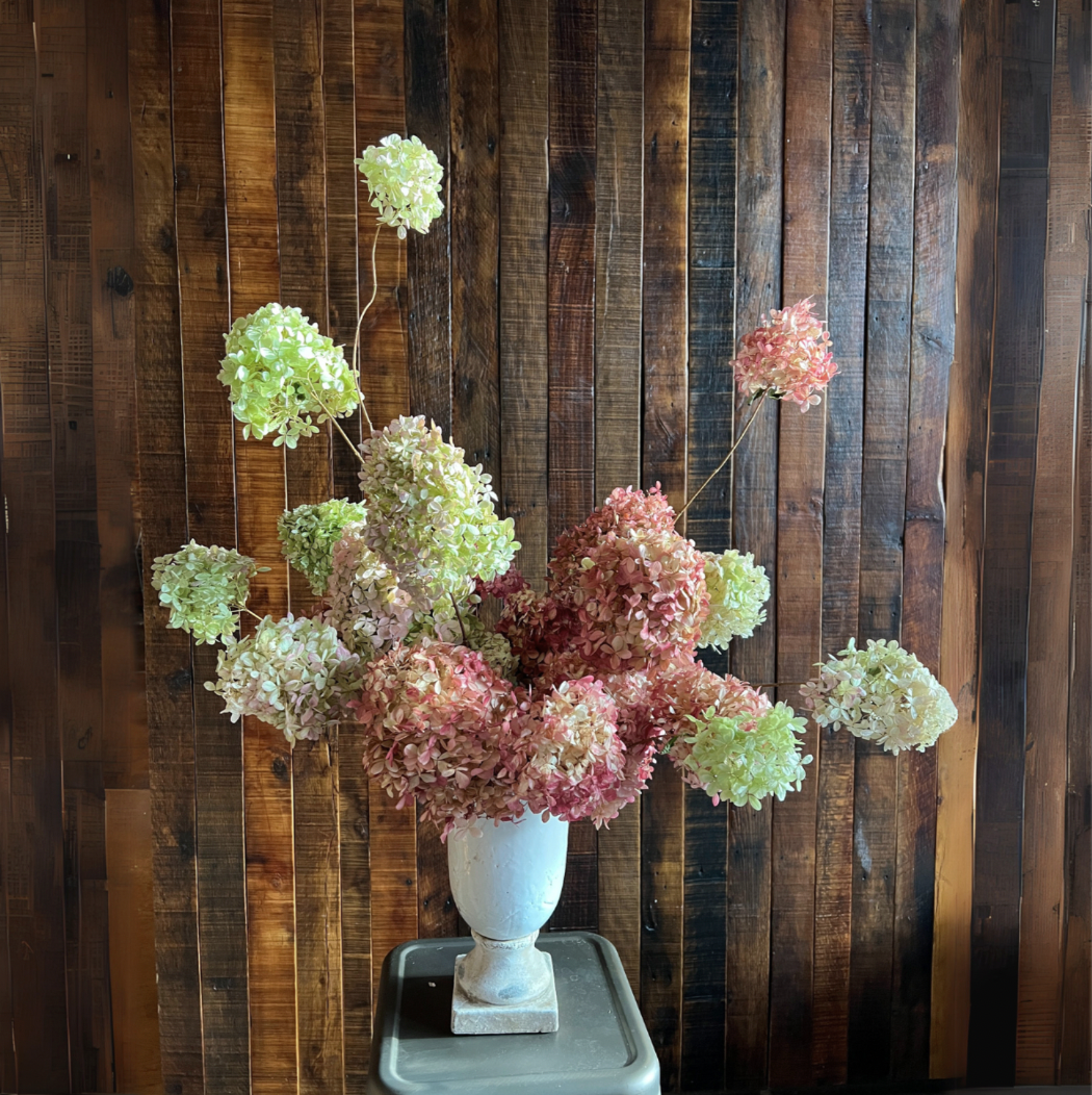 Dried Hydrangea Urn Arrangement