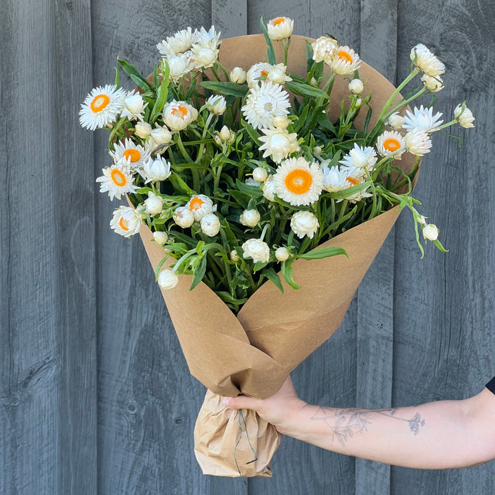 Strawflower Armload Bundle