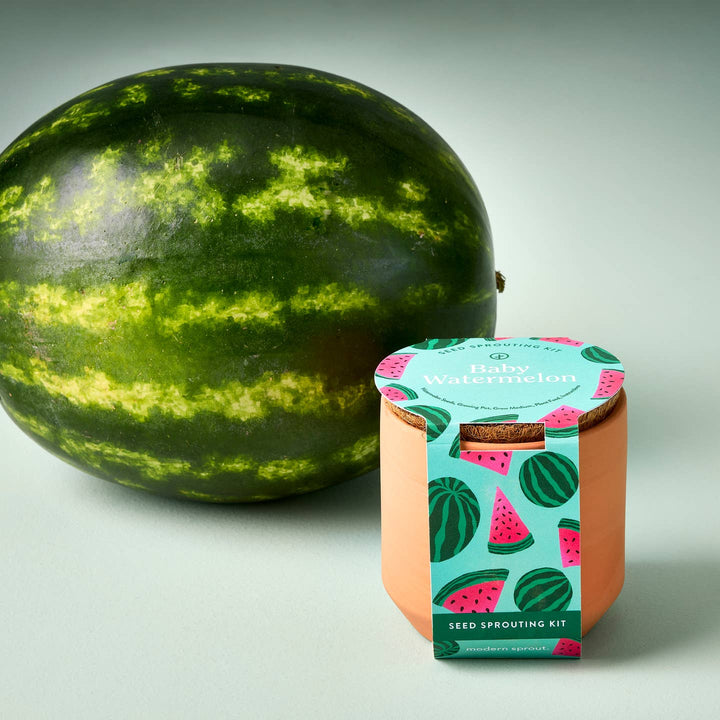 Mini Watermelon Seed Sprouting Kits
