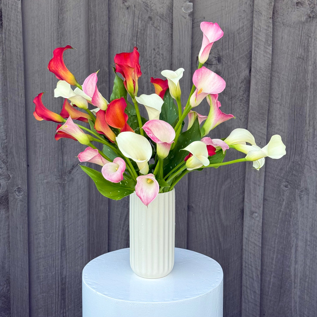 Local Calla Lily Arrangement, Colorful
