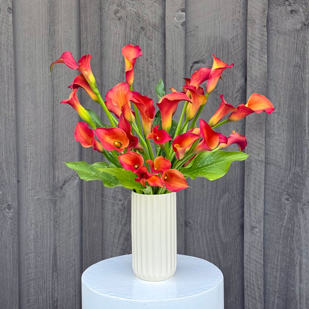 Local Calla Lily Arrangement, Orange Mango