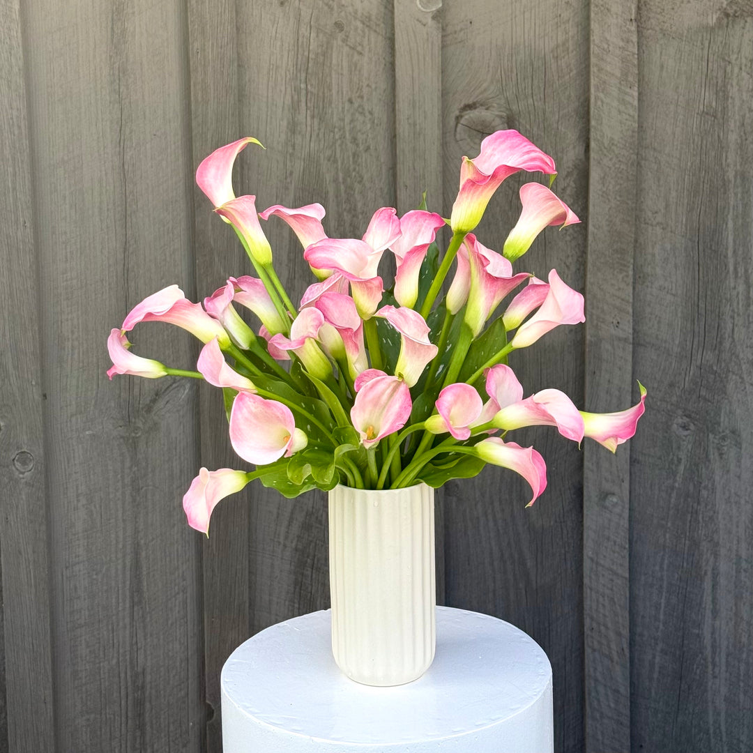 Local Calla Lily Arrangement, Soft Pink