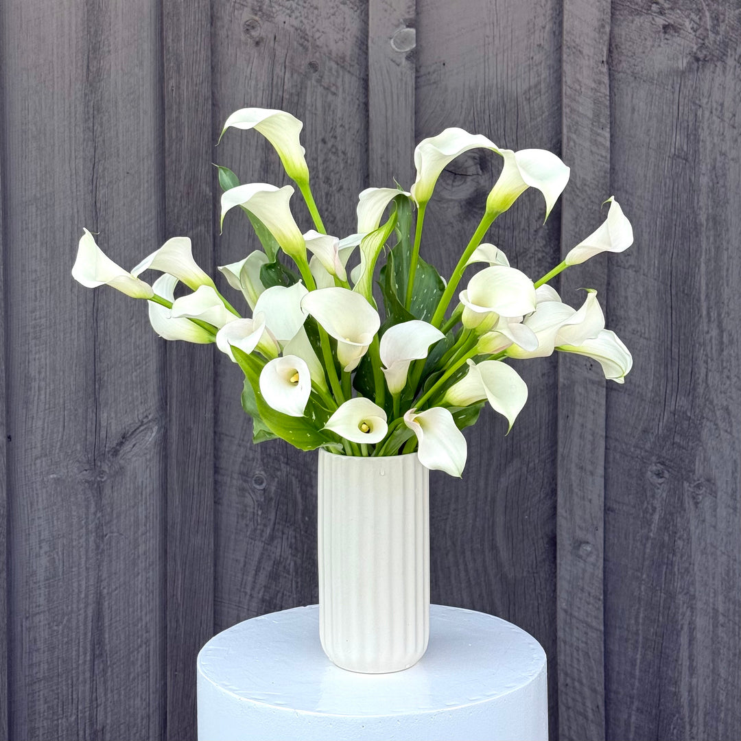 Local Calla Lily Arrangement, White