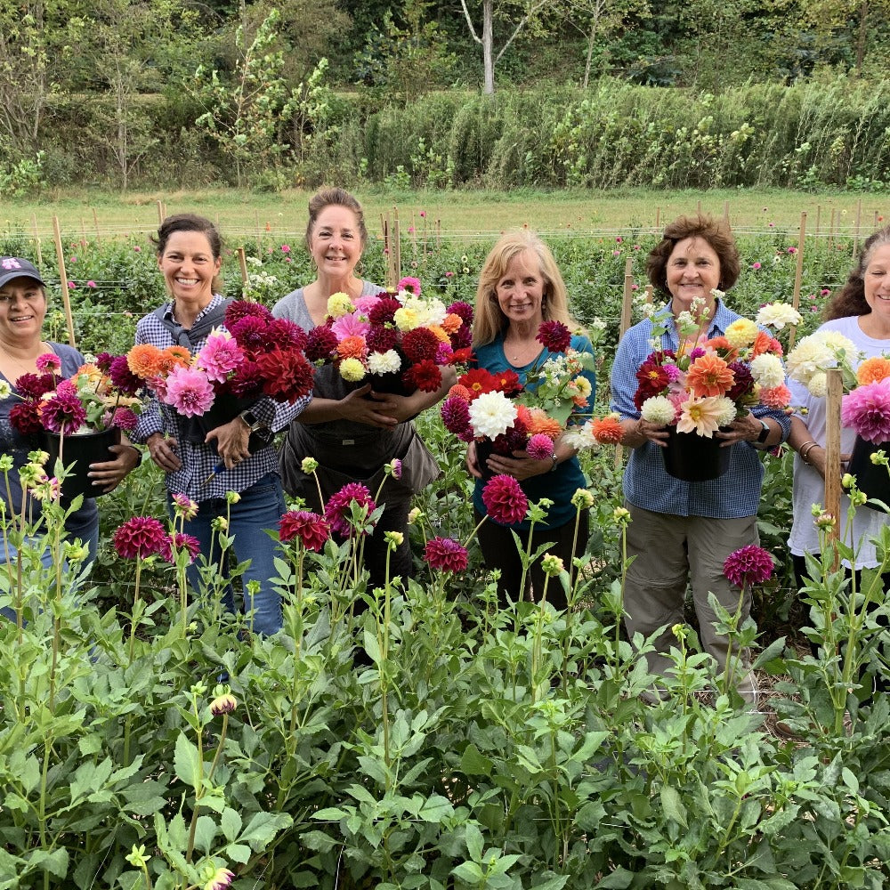 Asheville, NC, Flower Arranging Workshop