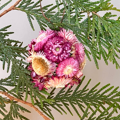 Strawflower Ball Ornament