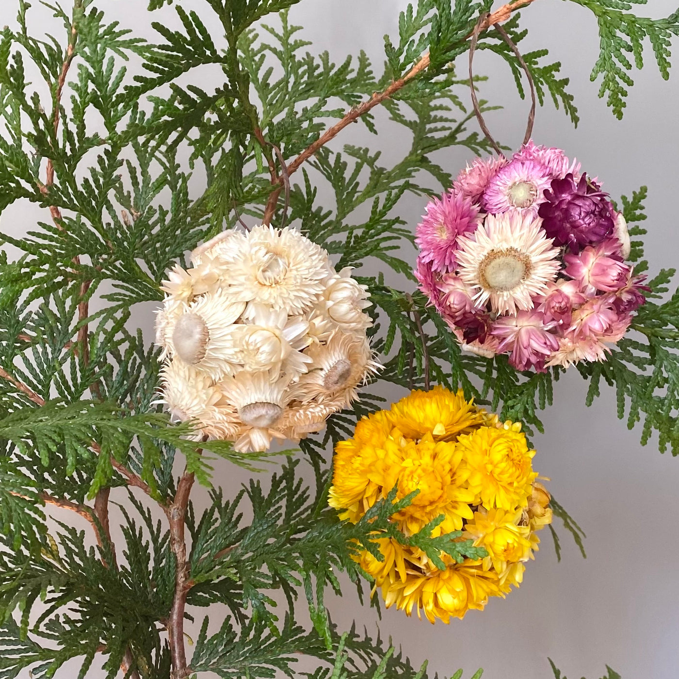 Strawflower Ball Ornament