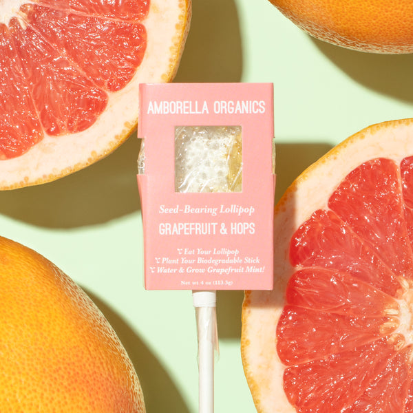 Seed-Bearing Lollipops